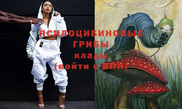 mdpv Ладушкин