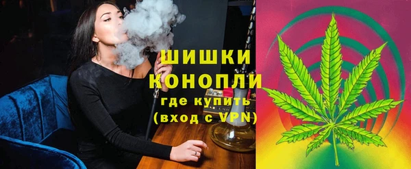 гидра Лагань