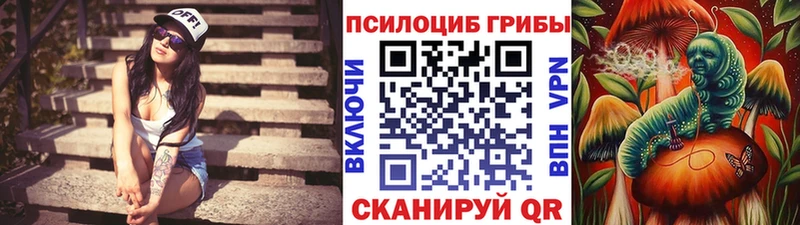 Псилоцибиновые грибы GOLDEN TEACHER  Фурманов 