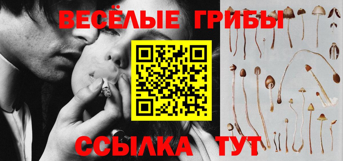 Галлюциногенные грибы мицелий Фурманов